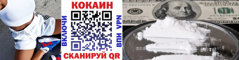 магазин продажи наркотиков  Опочка  COCAIN Fish Scale 