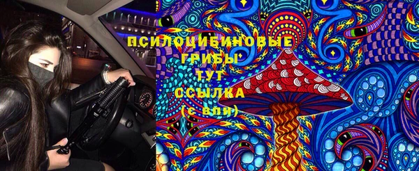 первитин Алексин