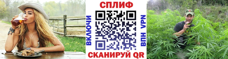 Конопля MAZAR  omg   Опочка 